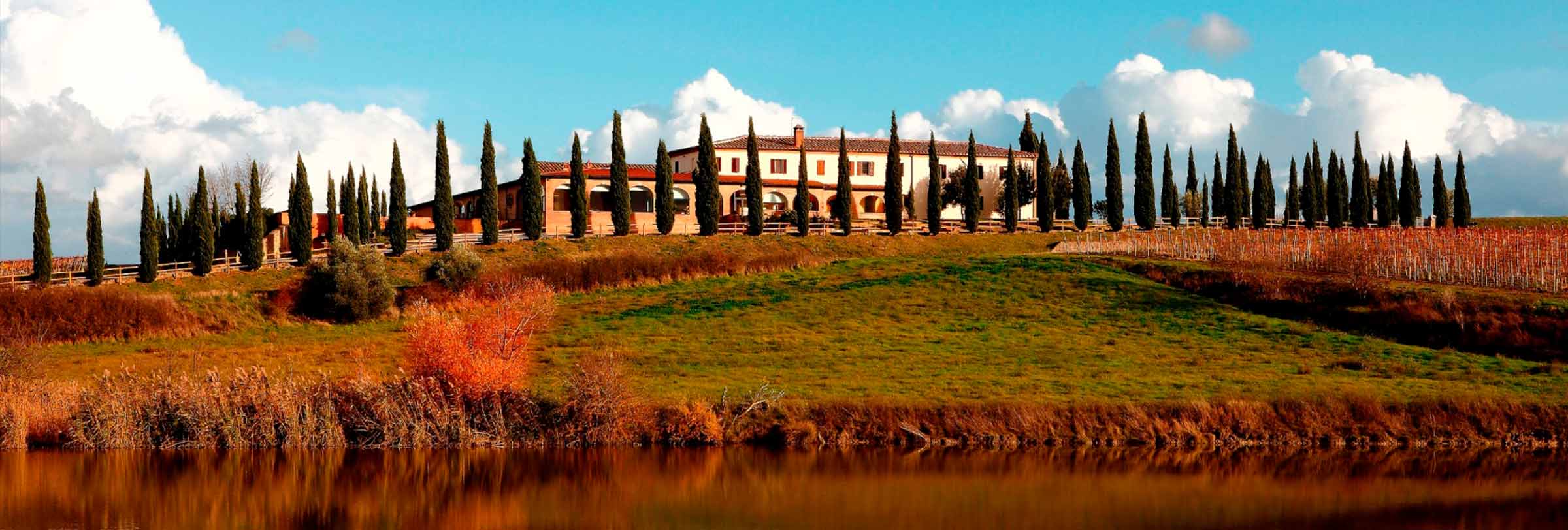 Angelini