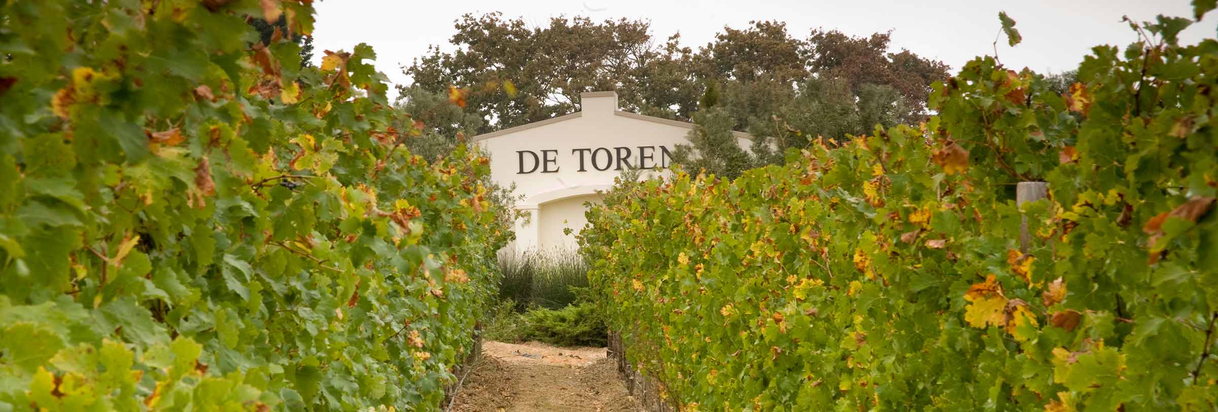 De Toren