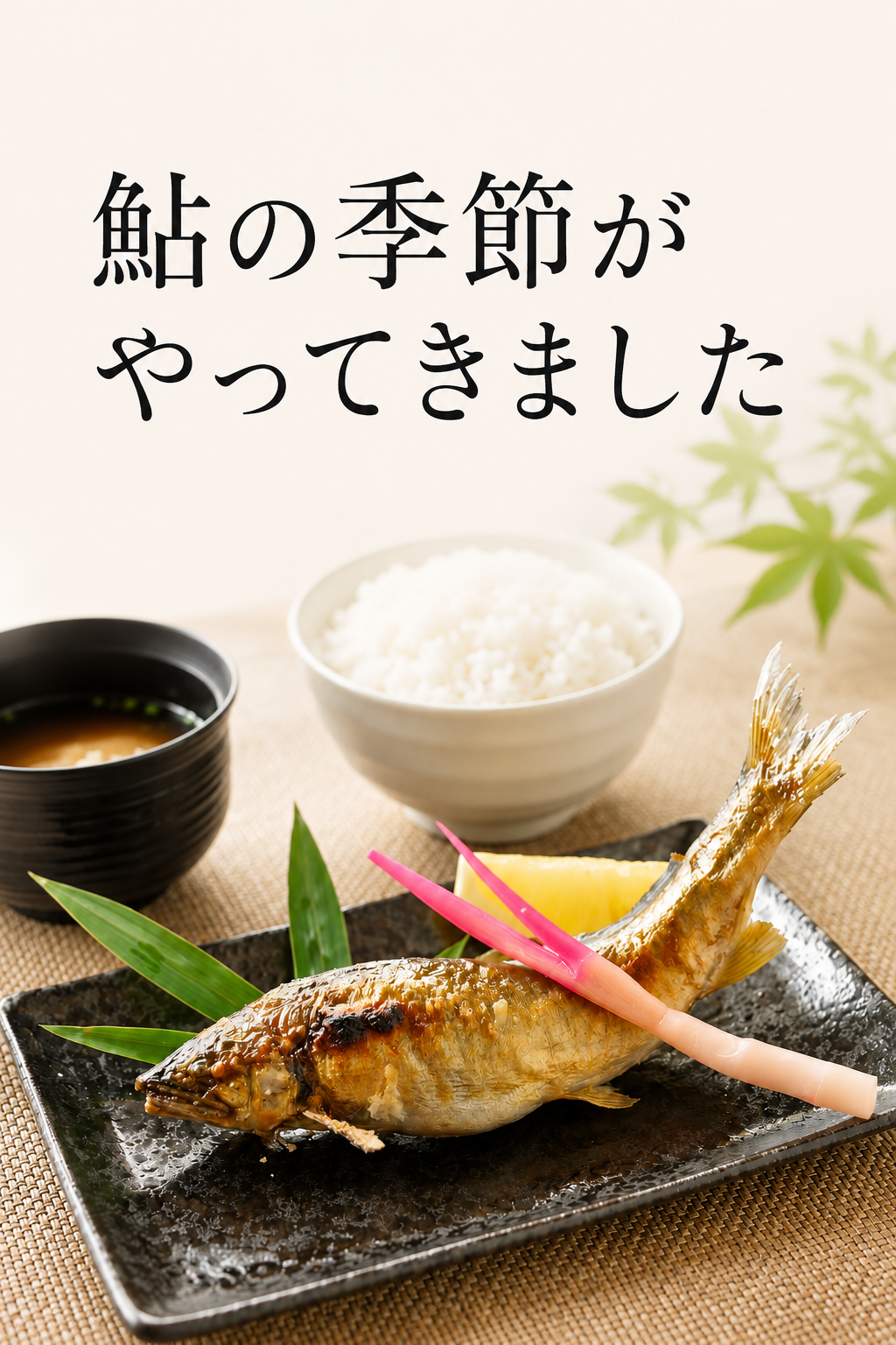 鮎の季節がやってきました